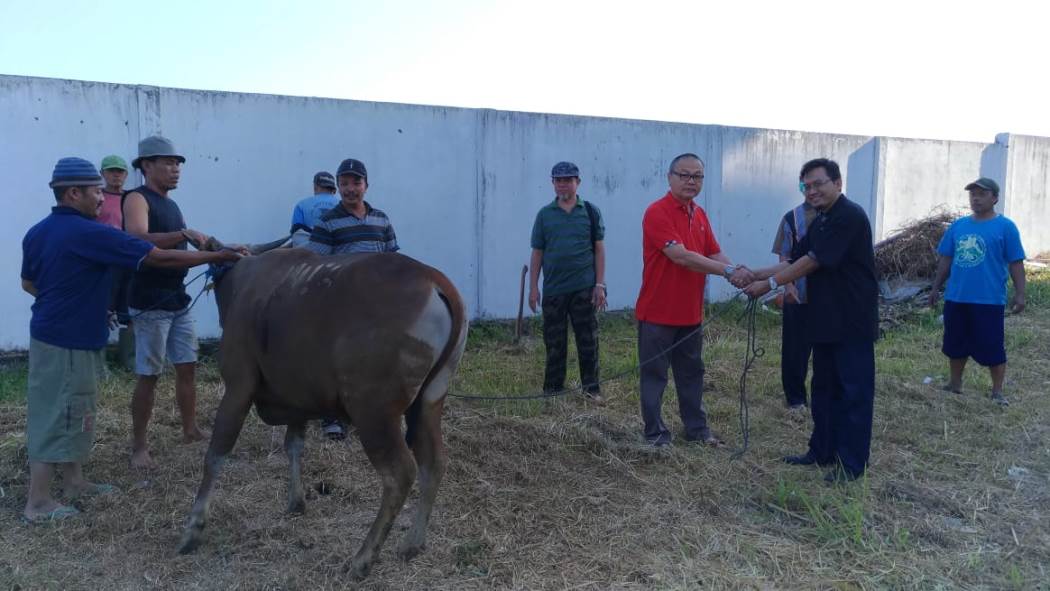 Penyembelihan Hewan Qurban dan Pesta Qurban RSST 2018