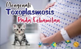 Mengenali Toxoplasmosis pada Kehamilan
