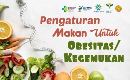 Pengaturan Makan untuk Obesitas atau Kegemukan