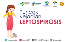 Puncak Kejadian Leptospirosis