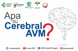 Apa Itu Cerebral AVM?
