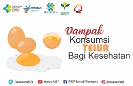 Dampak Konsumsi Telur Bagi Kesehatan