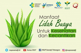 Manfaat Lidah Buaya Untuk Kesehatan dan Kecantikan