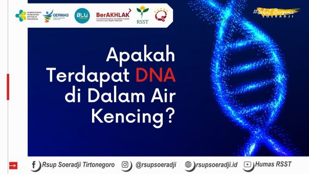 Apakah Terdapat DNA di Dalam Air Kencing?