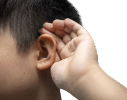 Sound Horeg Memicu Audiotory Processing Disorder
